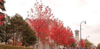 加拿大女王大学本科生和研究生招生介绍