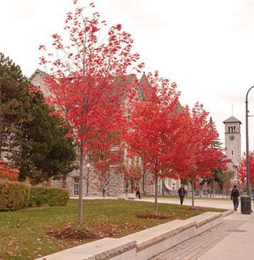 加拿大女王大学本科生和研究生招生介绍
