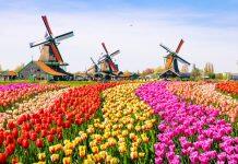 留学荷兰:学费和奖学金