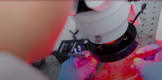 城大获研资局两项研究学者计划拨款港币2,300万