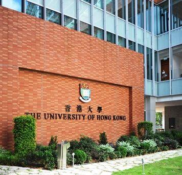 为什么选择在香港大学工作?