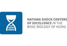 南加州大学LEONARD DAVIS老龄科学院和BUCK老年病研究中心荣获NIA的460万美元拨款