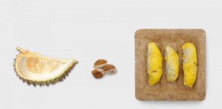 新加坡国立大学工业设计毕业展的奇思妙想