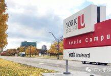 加拿大约克大学无语言双录取AP+YUB/AP+PDY 项目