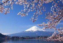 日本大学发生新冠病毒群聚感染 62名成员确诊