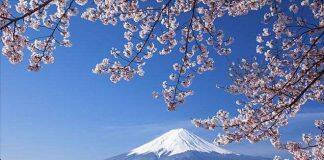 日本大学发生新冠病毒群聚感染 62名成员确诊