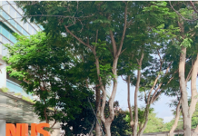 专为大学生而设,新加坡工业奖学金如何申请?