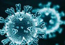 美国新冠肺炎确诊病例超1335万 纽约市准备重新开放学校