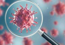 美国单日确诊超40万 7天死亡1.8万,国际留学生该何去何从?