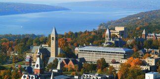 2020年寒假美国康奈尔大学CICER线上冬季科研项目报名