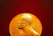 2020年诺贝尔奖颁奖仪式因疫情改为线上举行