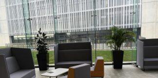 理性对比!新西兰和澳洲留学居然如此大不相同!