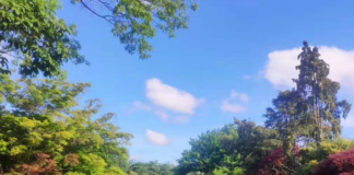 官方权威解说目前形势下的新西兰留学