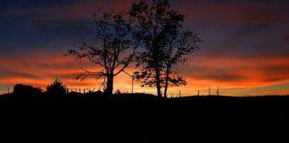 留学新西兰:想知道新西兰研究生怎么申请吗?