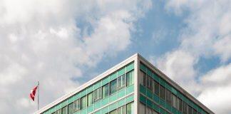 为什么中国学生选择去加拿大留学?