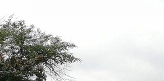 想去美国读本科,你需要提前知道这些事!