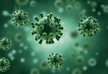 芬兰发现一种新型变异新冠病毒 核酸检测恐难检出