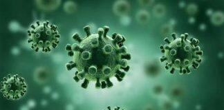 芬兰发现一种新型变异新冠病毒 核酸检测恐难检出