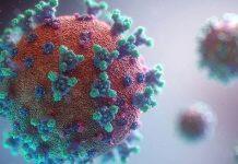 星空捕鱼游戏赚钱软件的又一个挑战:芬兰发现一种新的变异新冠病毒