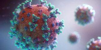 出国留学的又一个挑战:芬兰发现一种新的变异新冠病毒