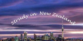 新西兰教育新闻:新西兰本地学生数量激增