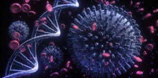 美国南加州大学新发现进一步解释新冠病毒如何攻陷免疫系统