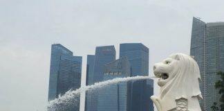 新加坡管理大学哪些专业比较厉害?