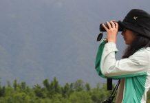 一篇90分毕业论文是怎么写成的?黑龙江姑娘揭秘宁波家燕的“快乐老家”