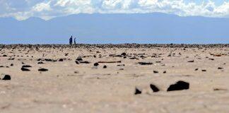 英国赫尔大学科学家研究气候变化如何影响早期人类迁徙