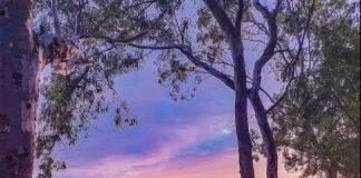 2021世界宜居城市排名出炉,阿德莱德宜居世界排名第三、全澳第一