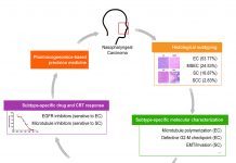 澳门大学的鼻咽癌精准治疗取得重大突破