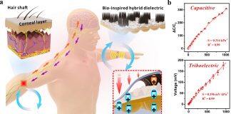 澳门大学研发出自供电可穿戴仿生触觉传感器