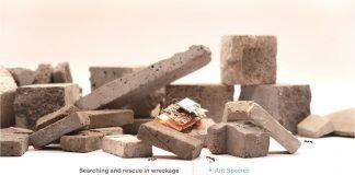 澳门大学学者成功研发高敏捷电子昆虫机械人