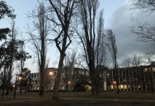 如何成功申请澳洲国立大学的研究生?