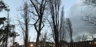 如何成功申请澳洲国立大学的研究生?