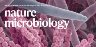 澳门大学真菌研究新突破有助减低免疫力弱人群受真菌感染