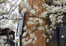 星空彩票官方版app建筑系学生在国际设计建造合作上崭露头角