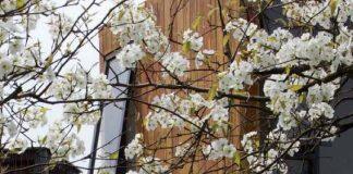 星空彩票官方版app建筑系学生在国际设计建造合作上崭露头角