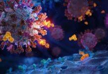 由清华大学张林琦教授领衔研发的中国首个抗新冠病毒特效药获批上市