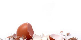 科研新发现:蛋壳有望成为可再生能源储能新方案