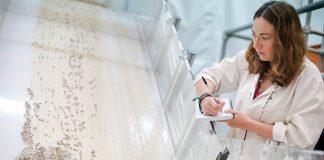 改善地球科学种族多样性的项目获得了10万英镑的资助