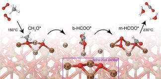 上海交通大学密西根学院两位教师入选上海市2022年度启明星计划扬帆专项