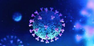 香港城市大学研究发现天气状况与较低的 COVID-19 死亡率之间的相关性