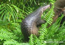 温州肯恩大学与中铁信托和中国绿发会签三方合作协议