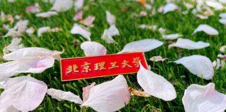 北京理工大学管理与经济学院国家级哲学社会科学基金重大项目获批取得佳绩