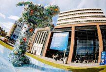 英国赫尔大学跻身泰晤士报高等教育影响力排名前100名