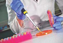 英国赫尔大学成为英国卓越研究排名提升最高的大学之一