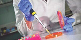 英国赫尔大学成为英国卓越研究排名提升最高的大学之一