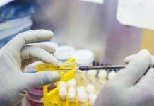 研究人员利用细菌增强混凝土的抗冻融性