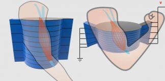 浙江大学伊利诺伊大学厄巴纳香槟校区联合学院石烨研究员Science发文:人工肌肉新突破